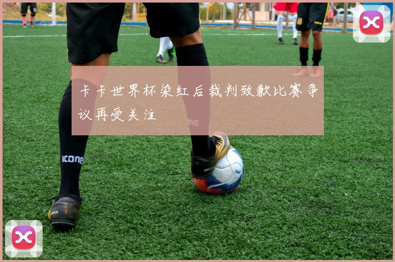 卡卡世界杯染红后裁判致歉比赛争议再受关注