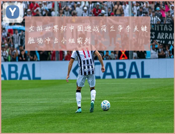 女排世界杯中国迎战荷兰争夺关键胜场冲击小组前列