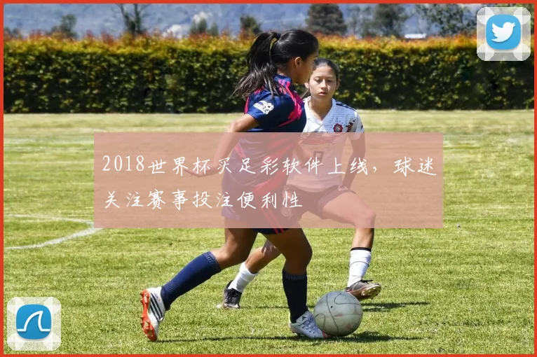 2018世界杯买足彩软件上线,球迷关注赛事投注便利性