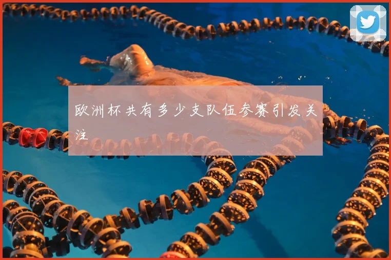 欧洲杯共有多少支队伍参赛引发关注
