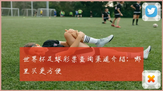 世界杯足球彩票查询渠道介绍：哪里买更方便