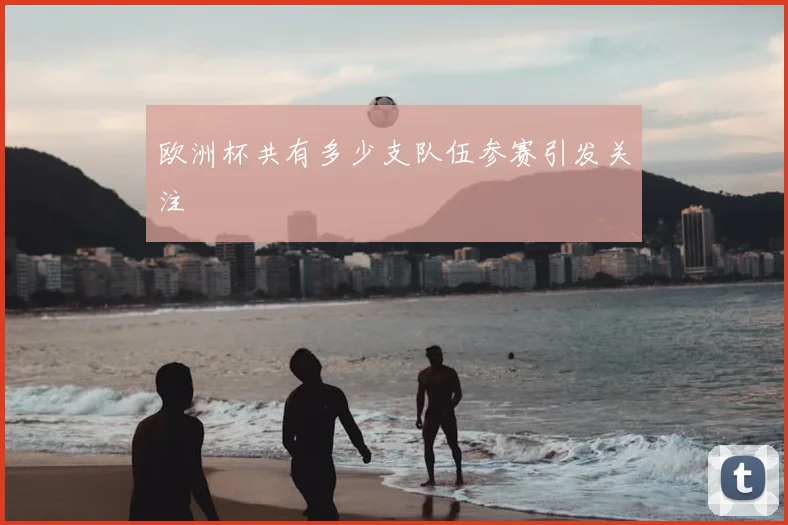 欧洲杯共有多少支队伍参赛引发关注