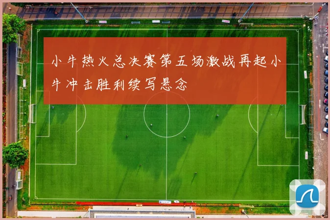 小牛热火总决赛第五场激战再起小牛冲击胜利续写悬念