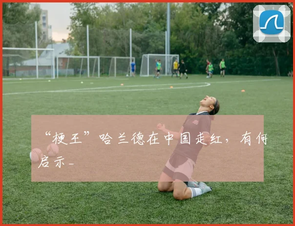 “梗王”哈兰德在中国走红,有何启示_