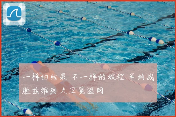 一样的结果 不一样的旅程 辛纳战胜兹维列夫卫冕温网